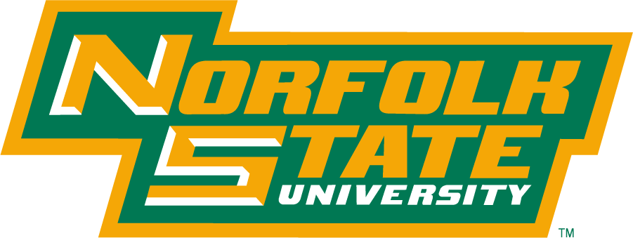 Norfolk State Spartans 1999-Pres Wordmark Logo v3 iron on transfers for clothing